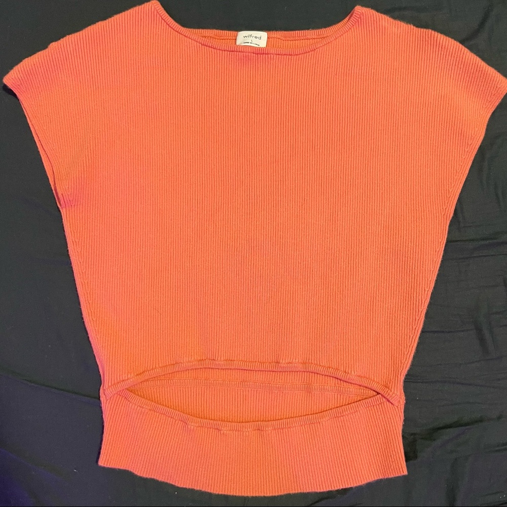 Aritzia Wilfred top